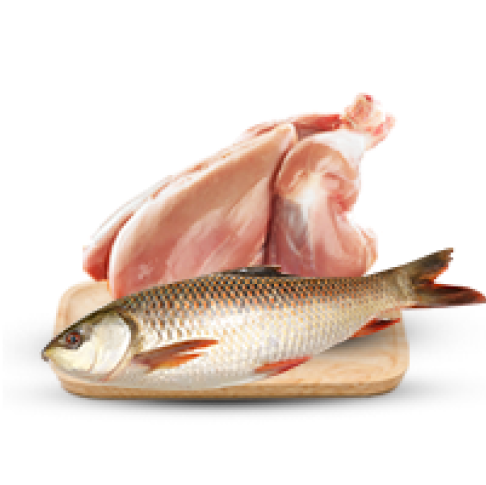 Poultry