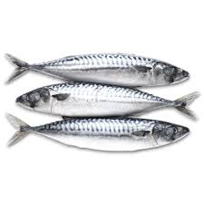 Mackerel (300-500) 1kg - £4.99 (Box 20kg)