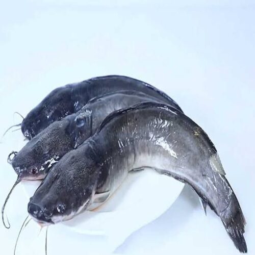 Frozen Catfish 5kg
