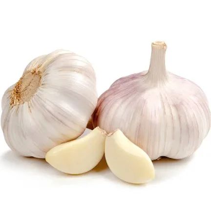 Garlic