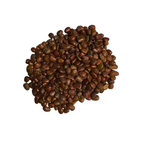 Dried Iru